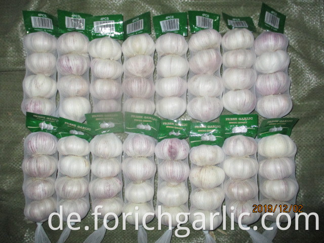 Where Can I Buy Fresh Garlic